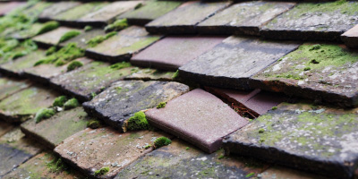 Roke roof repair costs